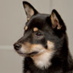 Meet your Posher, Sookhee